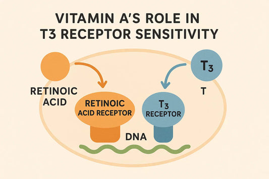 The Overlooked Link Between Vitamin A, Iodine, and Thyroid Health