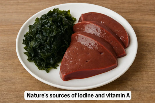 Carnivore Diet Nutrient Gaps & How to Fill Them