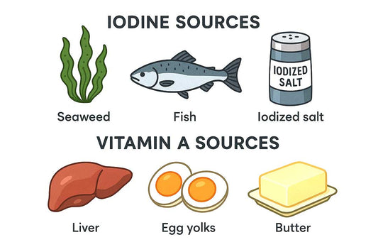 🌊 More Than Just Iodine: Why Your Thyroid Needs Both Iodine and Vitamin A for Optimal Health