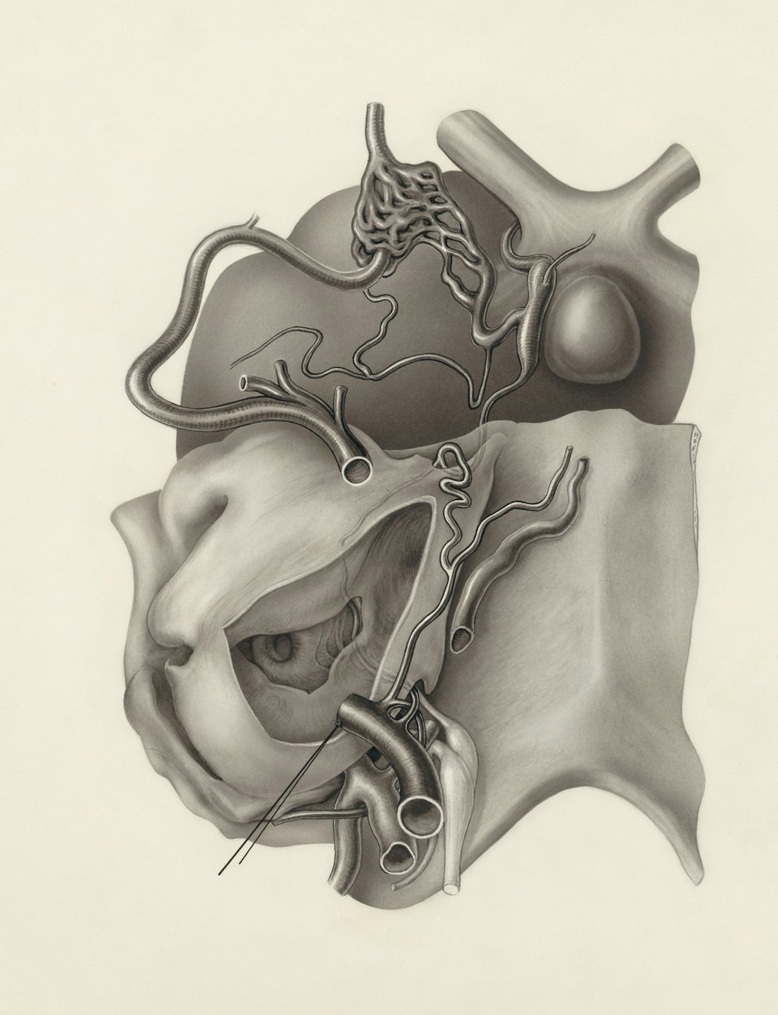 a drawing of the inside of a human head