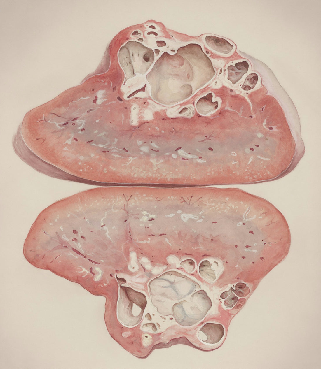 a drawing of two sections of a heart